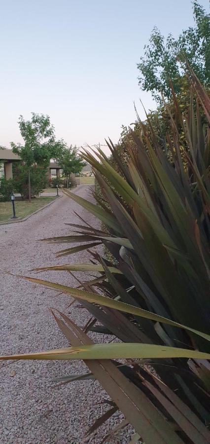 Alto San Andres Bed and Breakfast San Andres de las Sierras Exteriör bild